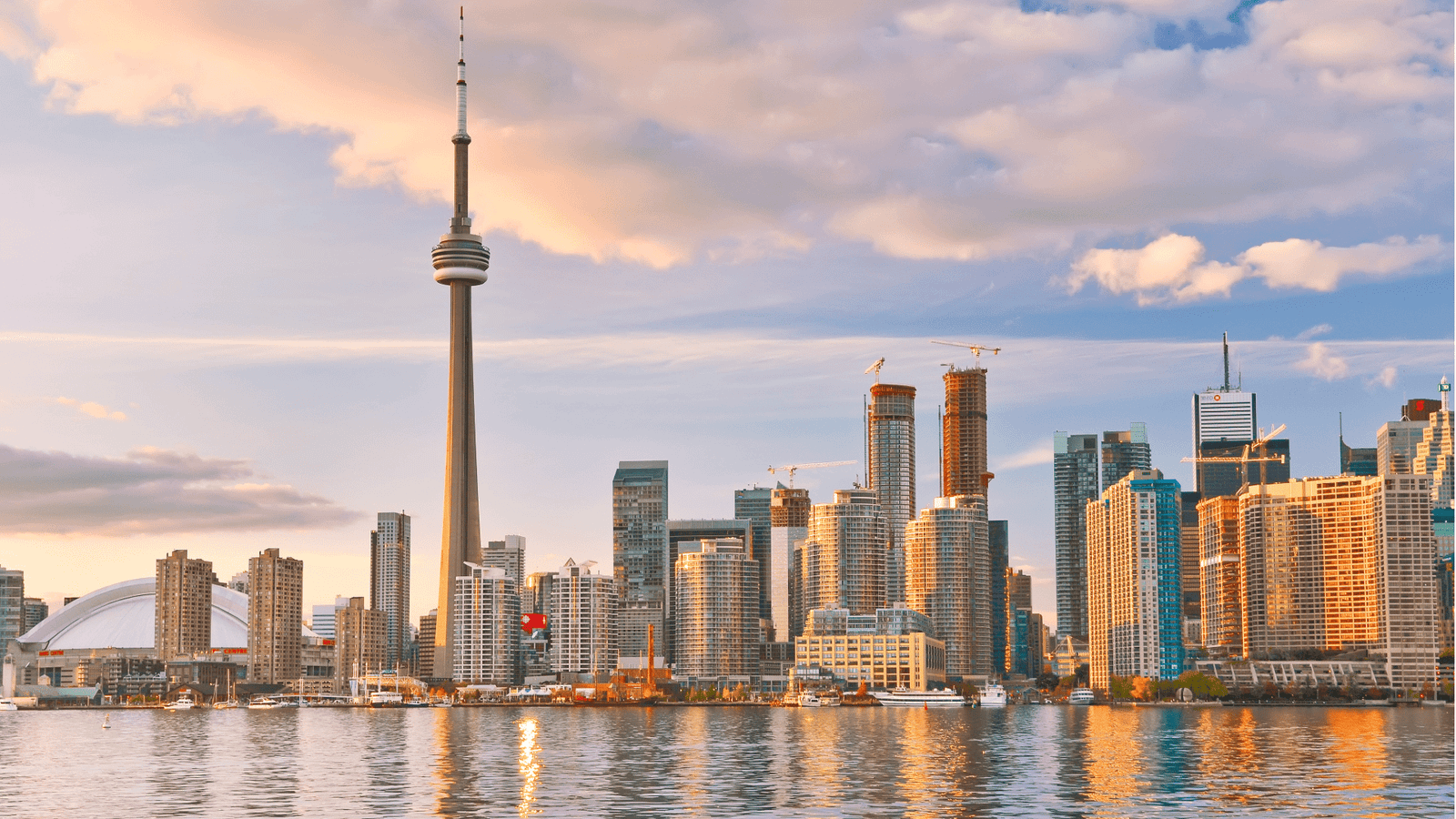 Canada Grains Hub Background