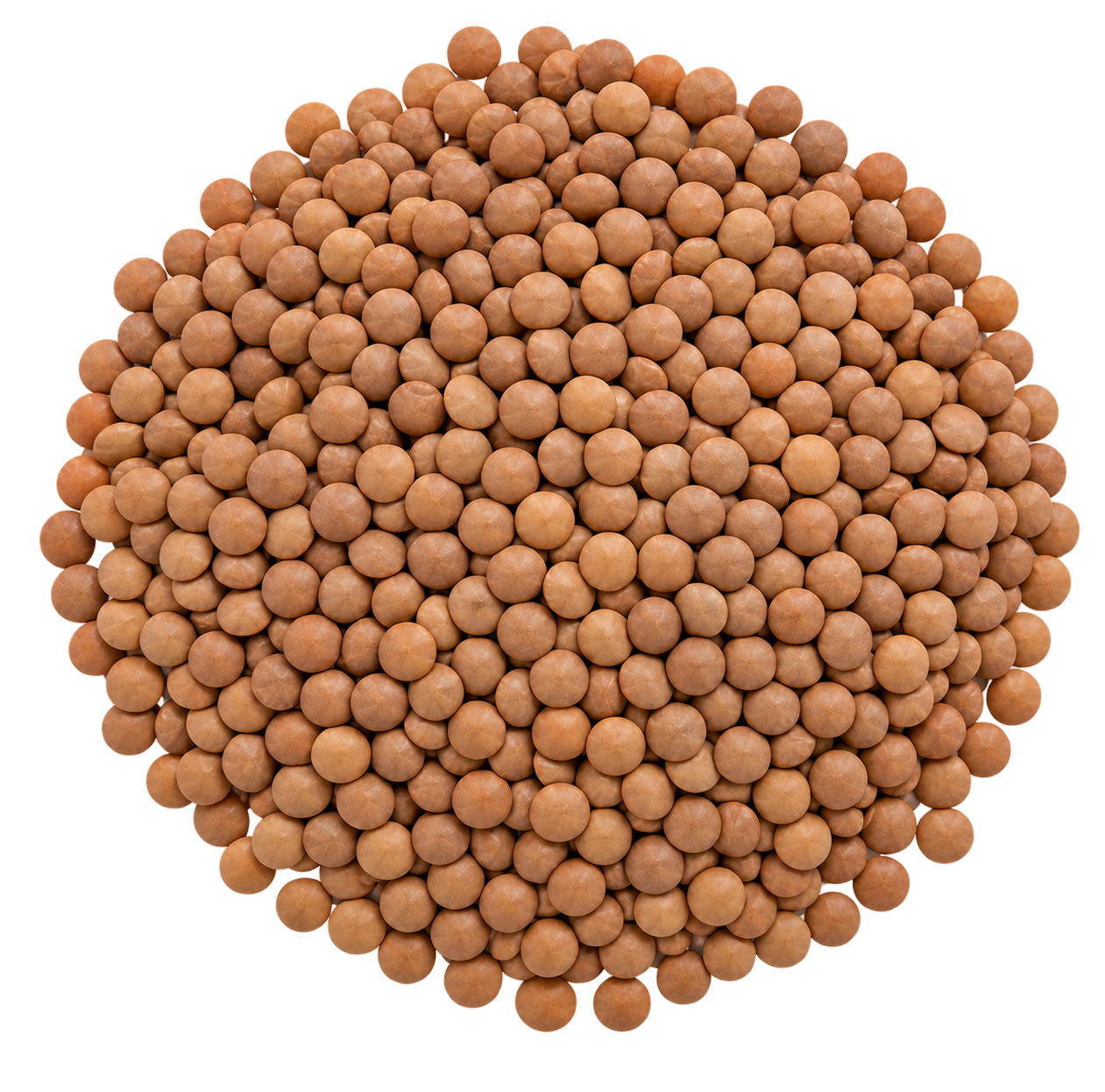 Whole Masoor (Red Lentils)